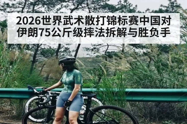 2026世界武术散打锦标赛中国对伊朗75公斤级摔法拆解与胜负手